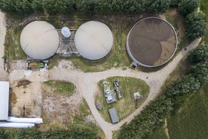 DJI_0687_1