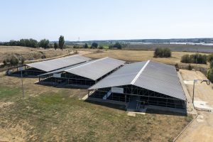 DJI_0773_1