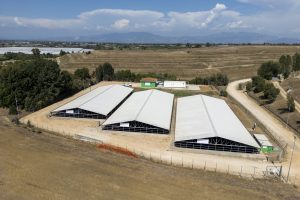 DJI_0774_1