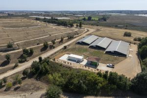 DJI_0782_1